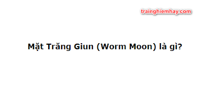 Siêu trăng giun là gì? Giải thích đúng nhất!