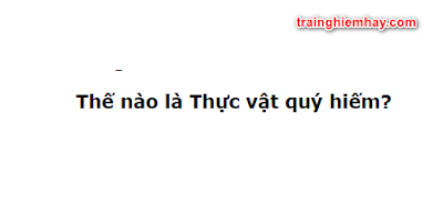 Thế nào là thực vật quý hiếm? Câu trả lời đúng nhất!