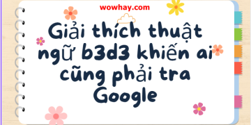 Giải thích thuật ngữ b3d3 khiến ai cũng phải tra Google