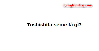 Toshishita Seme là gì? Đáp án đúng nhất!