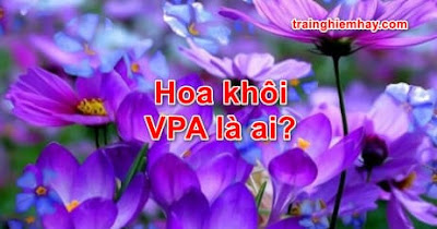 Hoa Khôi VPA là ai? Lí do đặc biệt VPA hot viral cộng đồng mạng