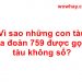 Vì sao những con tàu của đoàn 759 được gọi là tàu không số?