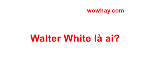 Walter White là ai? Bật mí bí mật Walter White chưa ai biết