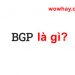 Lỗi BGP là gì? Mọi điều về BGP bạn phải biết