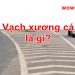 Vạch xương cá là gì? Đáp án đúng nhất