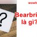 Bearbrick là gì? Đây là lí do bearbrick có giá đắt đỏ nhất