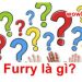 Furry là gì? Điều đặc biệt về Furry chưa ai biết