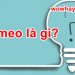 Cameo là gì? Đây là điều đặc biệt về cameo chưa ai biết