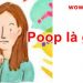 Poop là gì? Bật mí bí mật  Poop chưa ai biết