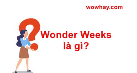 Wonder Weeks là gì? Mọi điều về Wonder Weeks bạn chưa biết