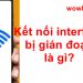 Kết nối interface bị gián đoạn là gì? Đúng nhất