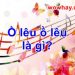 Ồ lêu ồ lêu là gì? Ồ lêu ồ lêu là bài gì? Đúng nhất