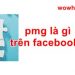 pmg là gì trên facebook? Đọc ngay nhé