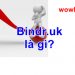 bindr.uk là gì? Điều đặc biệt bindr.uk bạn chưa biết