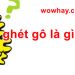 ghét gô là gì? Đúng nhất