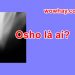 Osho là ai? Điều đặc biệt về Osho chưa ai biết