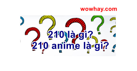 210 là gì? 210 anime là gì? Mấy bài giải thích trước sai hết nhé!