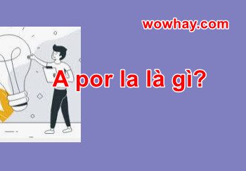 Giải thích ý nghĩa A Por La là gì bạn hãy đọc nhé!