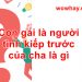 Giải thích ý nghĩa và nguồn gốc câu nói: ‘Con gái là người tình kiếp trước của cha’