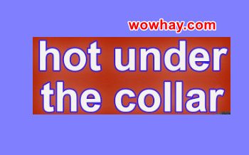 Giải thích ý nghĩa và cách dùng Hot under the collar đúng nhất