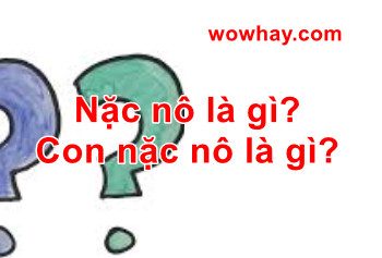 Nặc nô là gì? Nguồn gốc, ý nghĩa và tầng lớp thấp kém trong xã hội Trung cổ