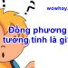 Giải thích ý nghĩa đồng phương tương tính đọc ngay nhé!