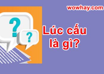 Lúc cấu là gì? Điều đặc biệt về lúc cấu chưa ai biết