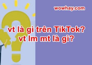 vt là gì trên TikTok? vt lm mt là gì? Đúng nhất