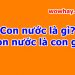 Con nước là gì? Con nước là con gì? Đúng nhất