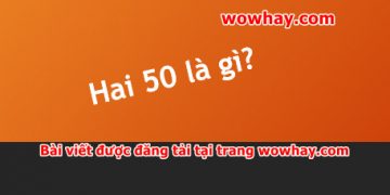 Giải thích nghĩa hai 50 là gì ai cũng nên đọc