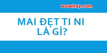 Giải thích ý nghĩa mai đẹt ti ni là gì chưa ai biết