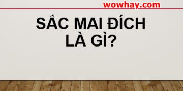 Giải thích ý nghĩa sắc mai đích là gì không thể bỏ qua
