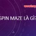 Giải thích ý nghĩa Spin maze và lối tắt spinmaze hãy đọc nhé!