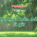 Cơn mưa mèn mén là gì? Bạn sẽ thốt lên ‘Tuyệt vời!’ khi biết ý nghĩa thật sự