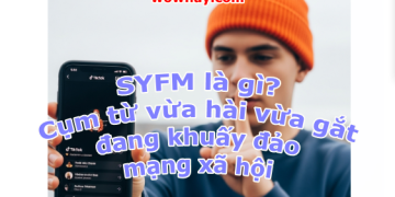 SYFM – Cụm từ vừa hài vừa gắt đang khuấy đảo mạng xã hội
