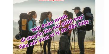 ‘Mời đoàn mình di chuyển lên núi giúp em’ – Câu nói viral vì lý do đặc biệt