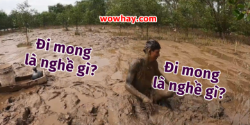 Nghề ‘đi mong’ – Vũ điệu bùn lầy và hồn quê miền Tây Nam Bộ